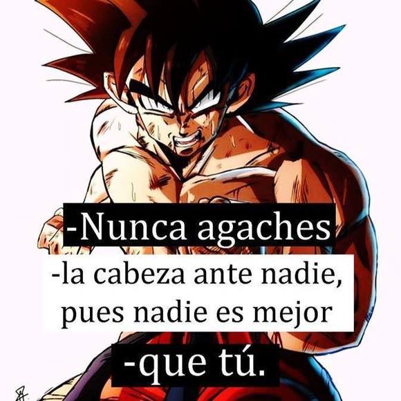 luisgarcia706